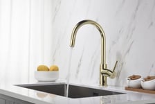 Kitchen Faucet With Pull-Out Hose Blue Water Plaza Gold