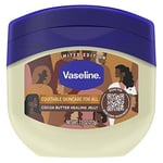 Vaseline Petroleum Jelly Cocoa Butter 7.5 oz