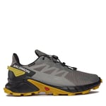 Löparskor Salomon Supercross 4 GORE-TEX L47317200 Svart