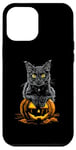 Coque pour iPhone 15 Plus Chat noir Costume d'Halloween Citrouille Pour Femme