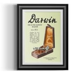 Barba Prints - Darwin De Luxe Safety Razor Colorized Ad 13x18 cm