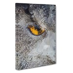 Eye of an Owl in Abstract Canvas Print for Living Room Bedroom Home Office Décor, Wall Art Picture Ready to Hang, 30 x 20 Inch (76 x 50 cm)