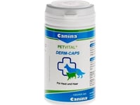 Canina Canin Dog Cat Petvital Derm Caps N100 Kapsulės Odai 40G