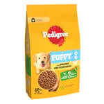 Pedigree Puppy Complete Dog Dry Food for medium size Dogs with Poultry and Rice 12 kg