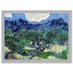 Vincent Van Gogh The Olive Trees Painting Artwork Framed Wall Art Print A4