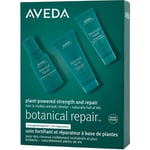 Aveda Botanical Repair Discovery Set