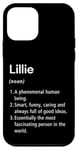 Coque pour iPhone 12 mini Lillie Définition du nom Dictionnaire amusant