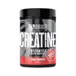 Warrior Creatine Monohydrate Powder 500g – Micronised for Easy Mixing and Consumption – Proven to Improve Physical Performance/Recovery, 5g Servings (Savage Strawberry)