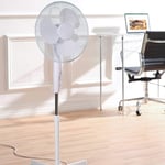 Fine Elements 16-Inch Oscillating Pedestal Fan For Home or Small Office, COL1252