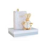 Doudou et Compagnie - Protège Carnet De Santé Bébé + Doudou Lapin - 32,5cm X 23,5cm - Blanc - Coffret Cadeau De Naissance - Lapin De Sucre -DC3497