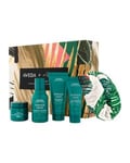 Aveda Botanical Repair Rich Holiday Set