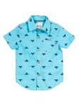 Kite Clothing Boys Wonder Whale Shirt - Blue Cotton - Size 0-3M