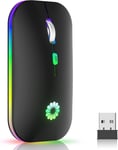 Souris sans Fil Rechargeable,LED Souris iPad avec Récepteur USB,Souris sans Fil 7 Couleurs 2,4 GHz,1000-1600 DPI Réglable pour Mac OS/Windows/Andriod/Microsoft,Wireless Mouse