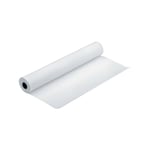 Epson Enhanced Matte Paper 17" Rull 17" x 30.5m