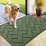 Biscpro Tapis de Porte - Tapis intérieur pour entrée, Patio, Couloir, Jardin, intérieur et extérieur - 60 x 90 cm