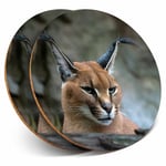 2 x Coasters - Caracal African Lynx Cat Home Gift #3171