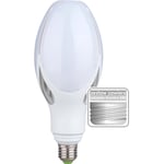 Olivlampa LED 30W 3000lm 4000K E27/E40