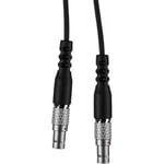 TeraTeradek RT MK3.1 Slave Controller Cable (100")