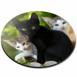 Round Mouse Mat - Cute Kittens Black Tabby Ginger Cat Office Gift #24573