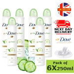 Dove Go Fresh Cucumber Anti Perspirant Deodorant Aerosol Spray 250ml Pack 6