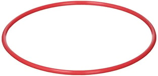 Olympus Pol 058 O-Ring for Underwater Cases PT-D10000 - Red