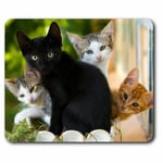 Computer Mouse Mat - Cute Kittens Black Tabby Ginger Cat Office Gift #24573