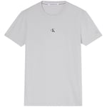 T-shirt Calvin Klein Jeans  T shirt homme  Ref 58664 PSX Ghost Grey