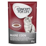 Concept for Life Maine Coon Adult Ragout - 12 x 85 g