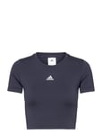 Aeroknit Seamless Fitted Cropped Tee W Sport Crop Tops Short-sleeved Crop Tops Navy Adidas Performance