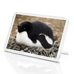 Adorable Penguin Classic Fridge Magnet - Dynasties Arctic Bird Gift #15707