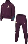 Nike Psg Track Suit Psg M Nk Df Strk Trk Suit K, Bordeaux/Geode Teal/Guava Ice, FN9454-613, L