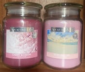 Wickford Cherry Blossom Candle & Blush Beaches Large Glass Jar Candles