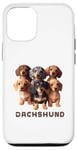 Coque pour iPhone 14 Design simple teckel