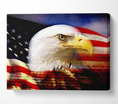 American Eagle Flag Canvas Print Wall Art - Small 14 x 20 Inches