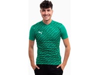 Herre T-Skjorte Puma Teamultimate Grønn 705371 05 (Xl)