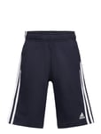 U 3S Kn Sho Blue Adidas Sportswear