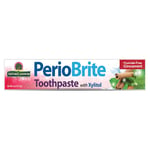 Nature&apos;s Answer Fluoride-Free PerioBrite Cinnamint Toothpaste - 1