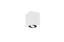 Trio Lighting Biscuit plafond GU10 vit/ svart - Hall lampa Svartvit