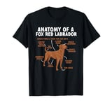 Anatomy Of A Fox Red Labrador Retriever Foxred Lab T-Shirt