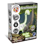 Science4you Brachiosaurus Fossil Digging Kit for Kids - Excavate and assemble 11 pieces Dinosaur Fossil, Glow-in-the-dark Excavation Dig Kit, Games, Dinosaur Toys for Girls and Boys 6+ years old