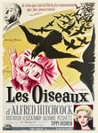 LES OISEAUX FILM HITCHCOCK Rtpb - POSTER HQ 60x80cm d'une AFFICHE CINéMA