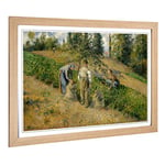 Big Box Art Framed Print of Camille Pissaro The Harvest Design | Wall Art Picture | Home Decor for Kitchen, Living, Dining Room, Bedroom, Hallway, Office, Oak, A2 / 24.5x18 Inch / 62x45cm