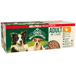 James Wellbeloved Adult Dog Food with Turkey in Gravy Pouch 48 x 90 g