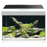 AMTRO MODERN TANK, Aquarium en Verre Equipé LED et Pompe, 28L, Dimensions 42,5x23,5x36,5 cm