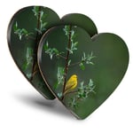 2x Heart MDF Coasters - Little Yellow Bird Tree Rain Nature  #45583