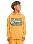 Quiksilver Retro Fade - Sweat à Capuche pour Garçon 8-16 Ans