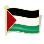 6 bitar Palestina Flagga Nål Lapel Märke Palestina Flaggor Brosch Nålar Märken Palestina Nationaldagen Dekorationer För Ryggsäck Kläder