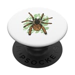 Megaphobema Robustum Spider Tarantula Arachnid Poilu PopSockets PopGrip Interchangeable