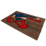 Sonic The Hedgehog Knock And Run Door Mat