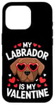 iPhone 16 Pro Chocolate Labrador My Valentines Hearts Day Dog Mom Dad Case